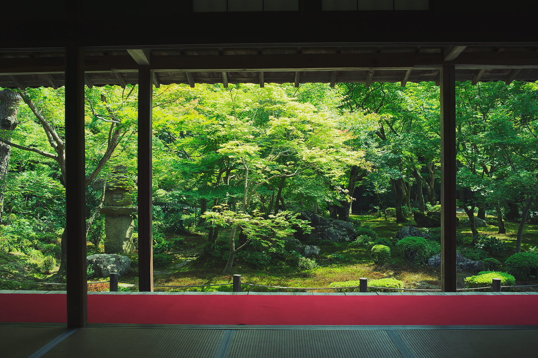
          京都「圓光寺」の庭園写真3
      