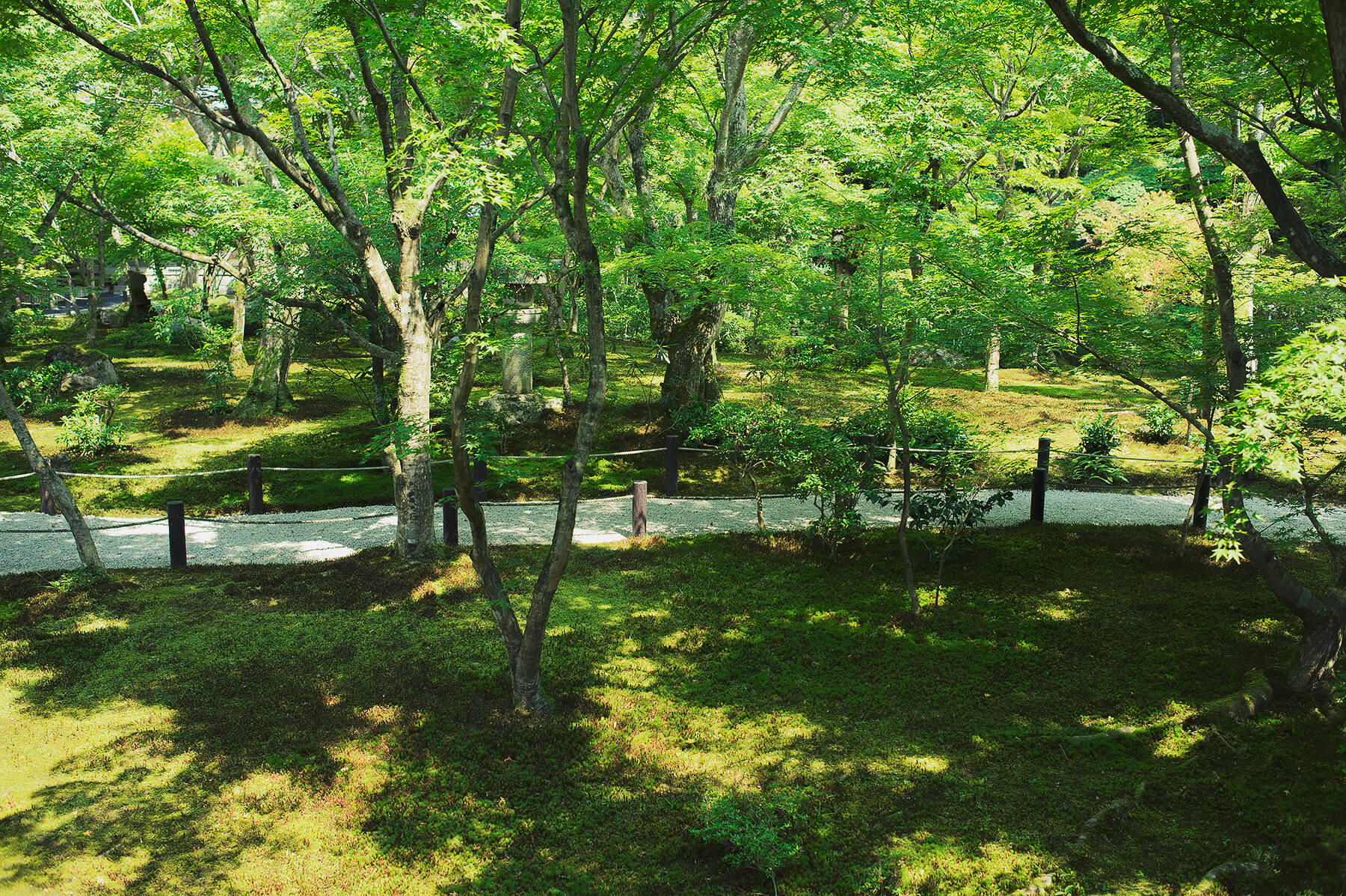 
          京都「圓光寺」の庭園写真4
      
