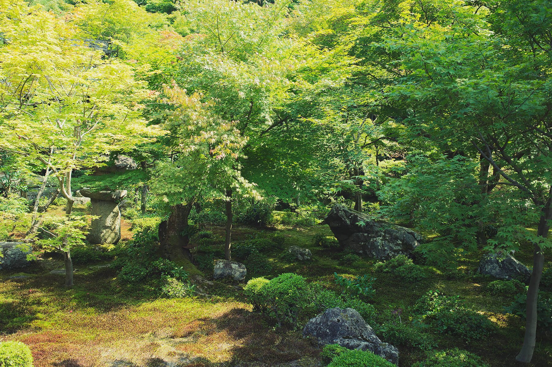 
          京都「圓光寺」の庭園写真5
      