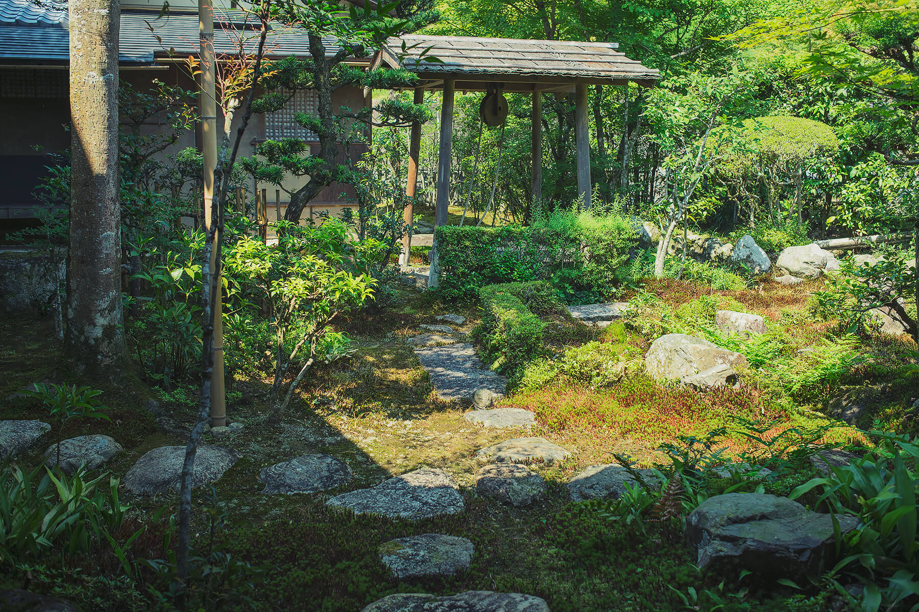 
          京都「圓光寺」の庭園写真6
      