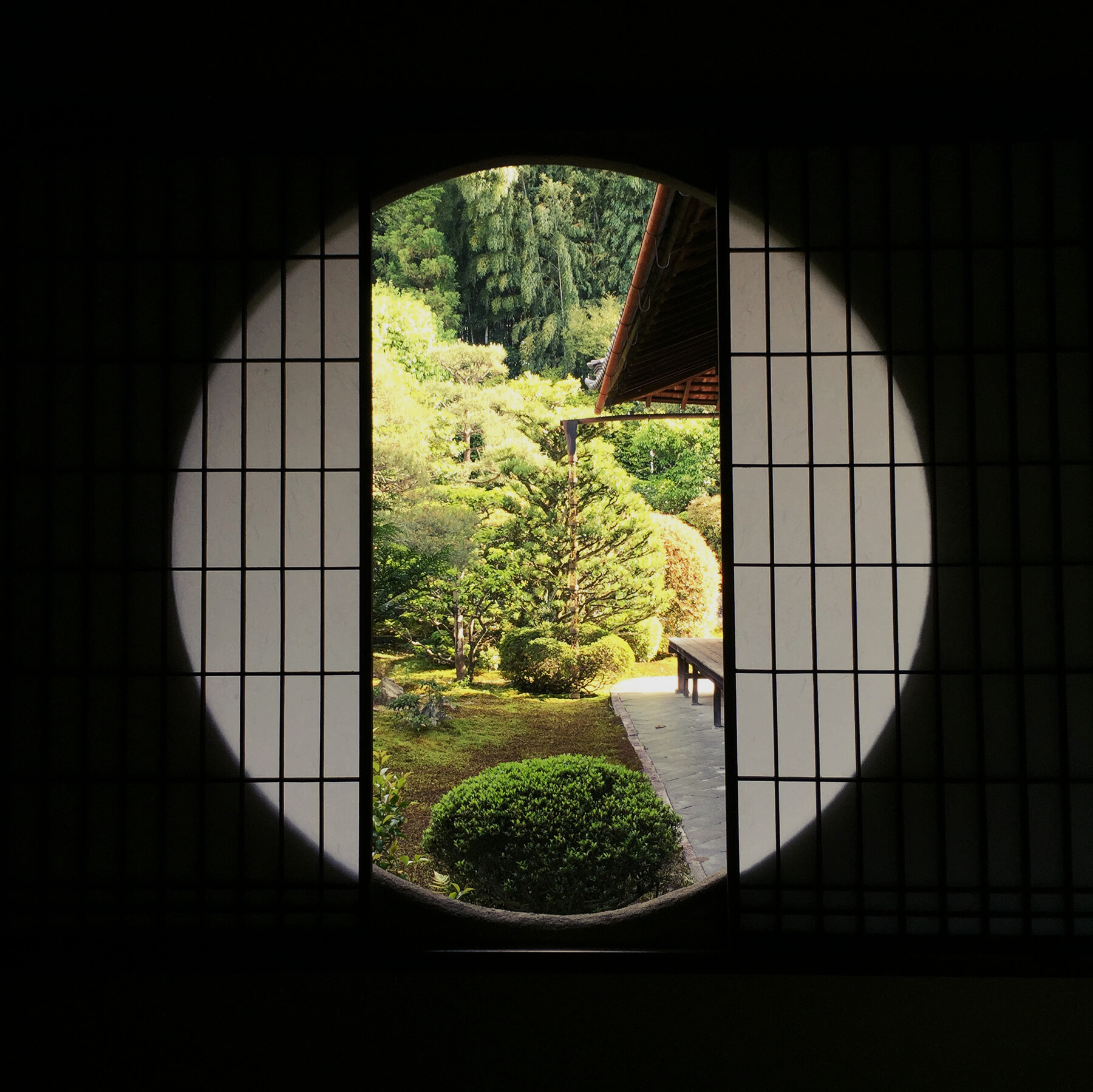 
          京都「東福寺芬陀院」の庭園写真3
      