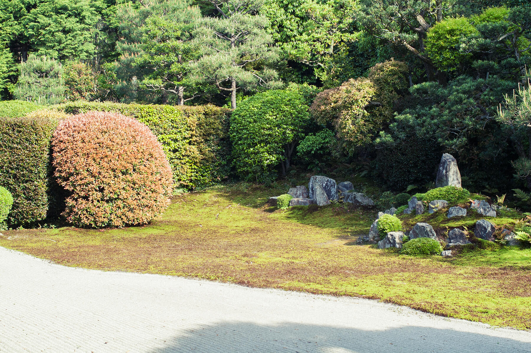 
          京都「東福寺芬陀院」の庭園写真1
      