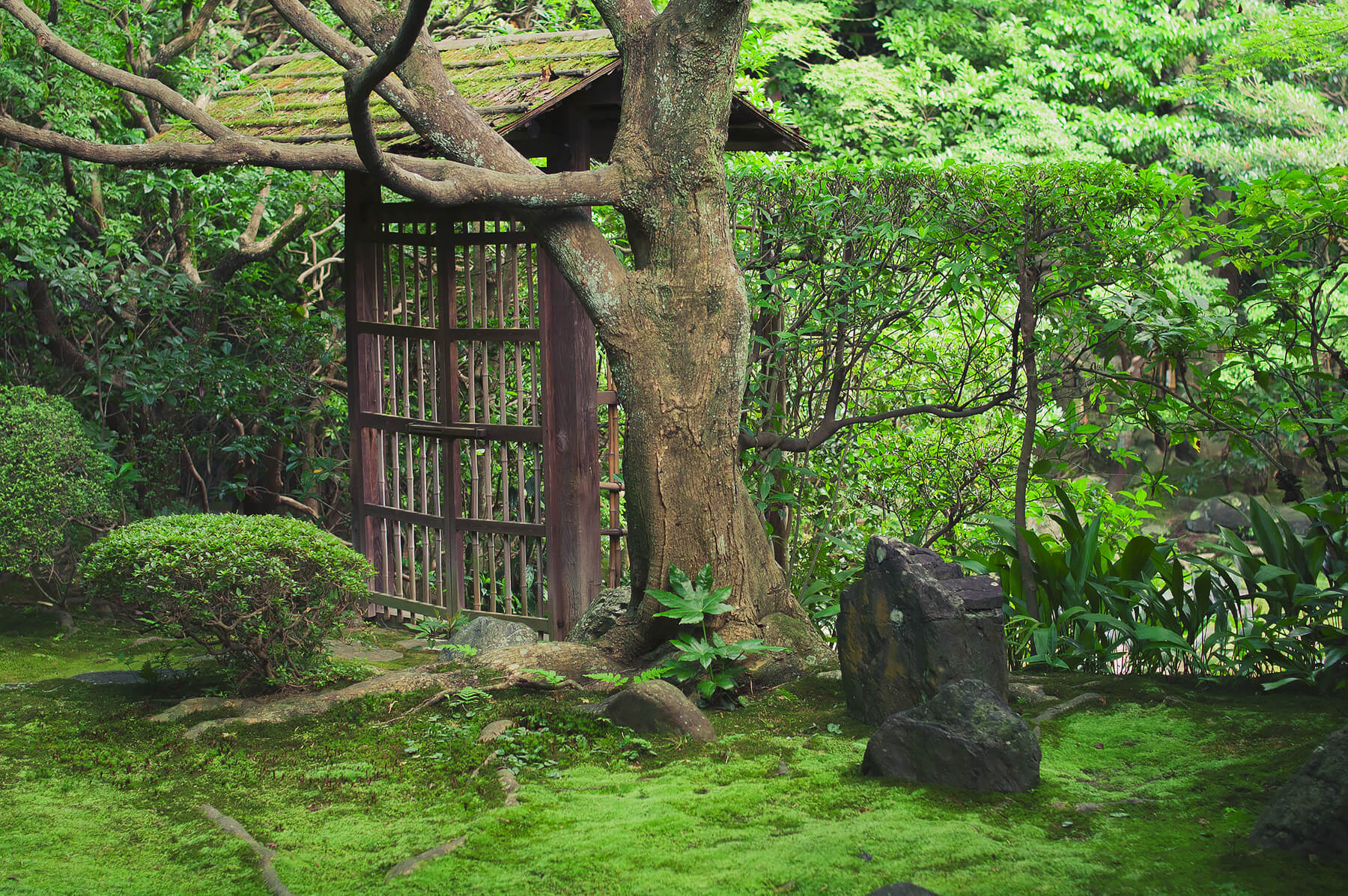 
          京都「妙心寺桂春院」の庭園写真4
      