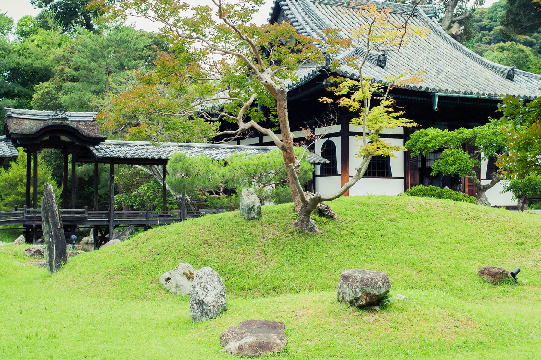 
          京都「高台寺本坊」の庭園写真1
      