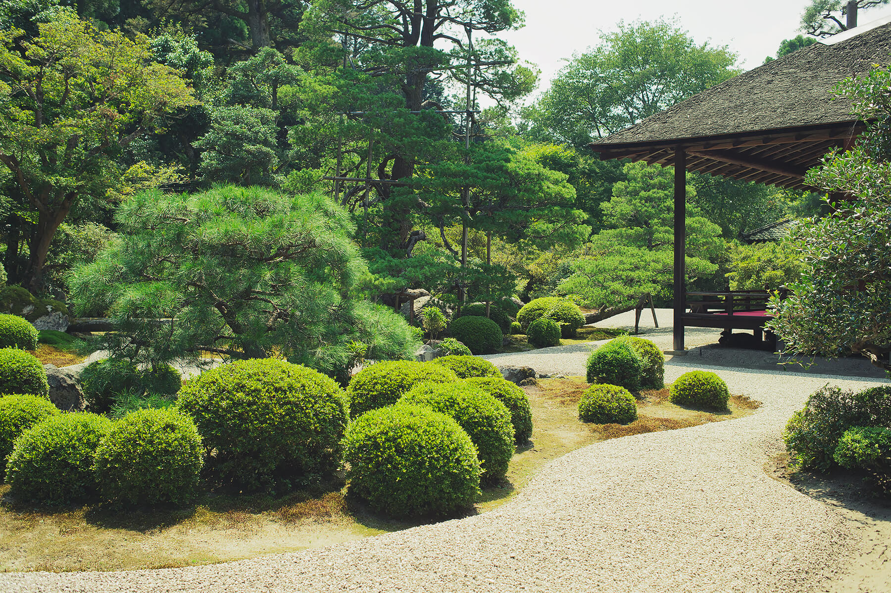 
          京都「曼殊院門跡」の庭園写真2
      