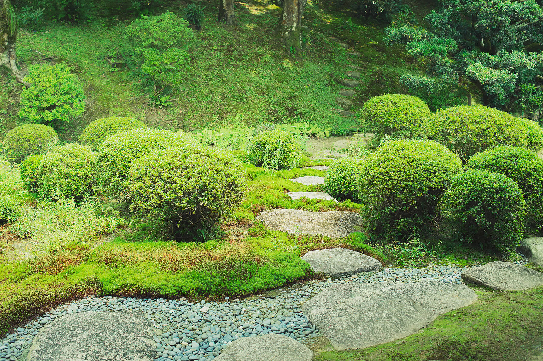
          京都「曼殊院門跡」の庭園写真4
      