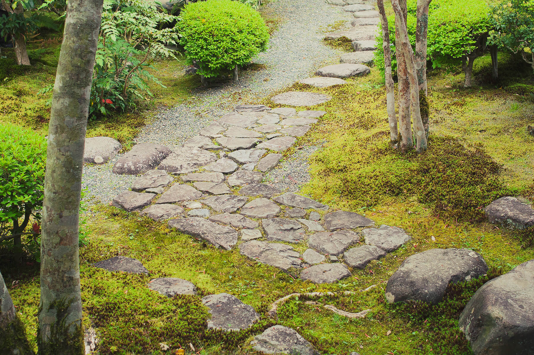 
          京都「南禅寺本坊」の庭園写真6
      