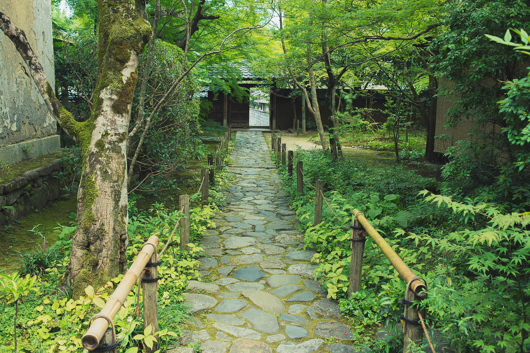 
          京都「蓮華寺」の庭園写真4
      