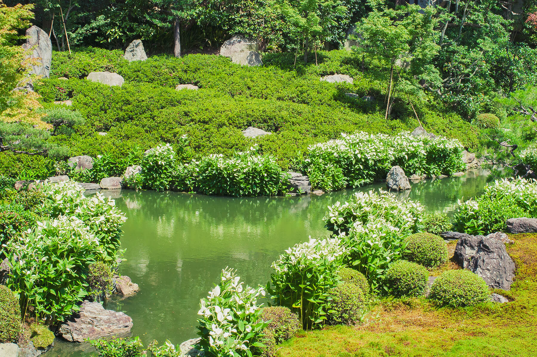 
          京都「建仁寺両足院」の庭園写真1
      