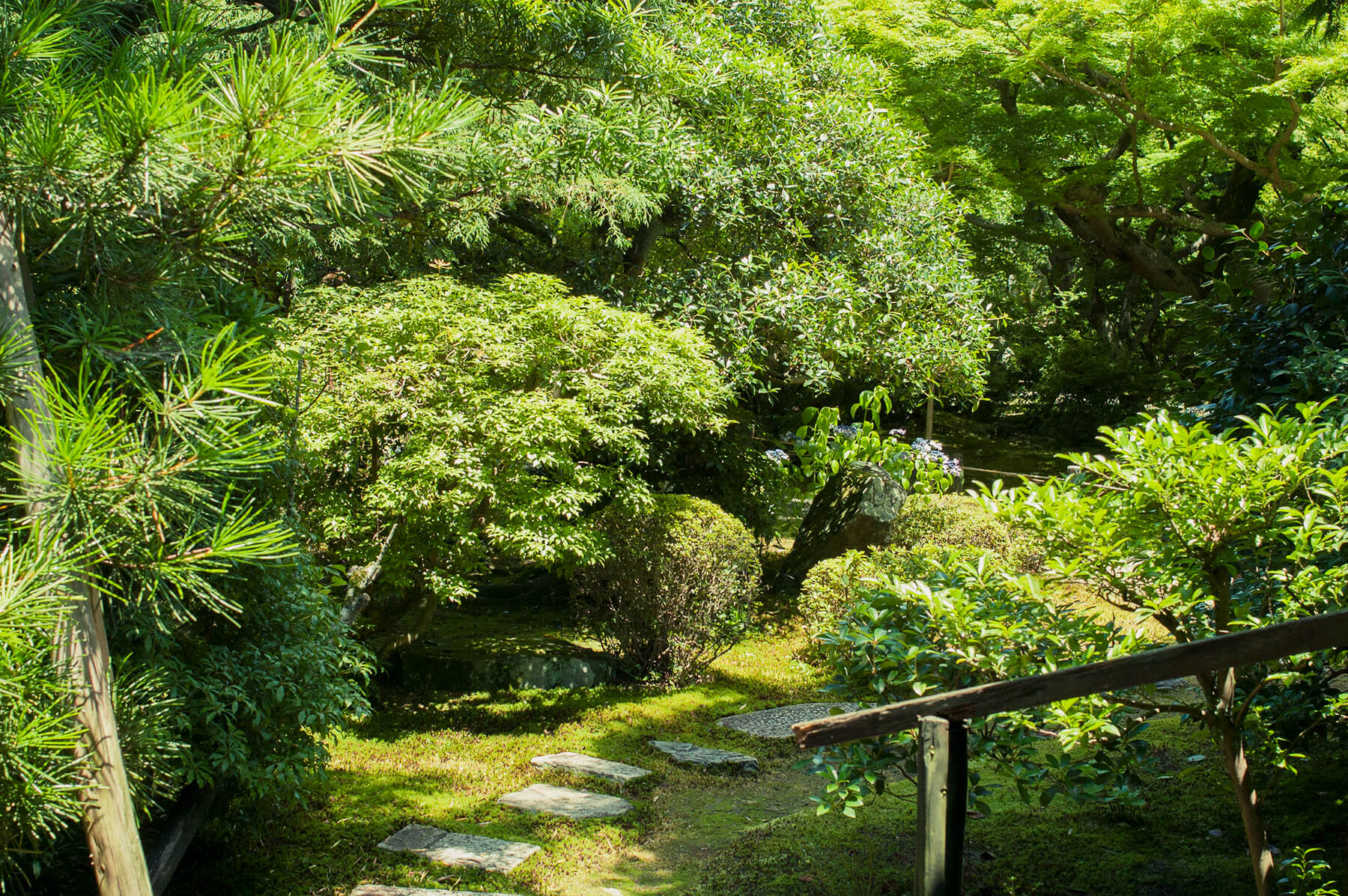
          京都「青蓮院門跡」の庭園写真2
      