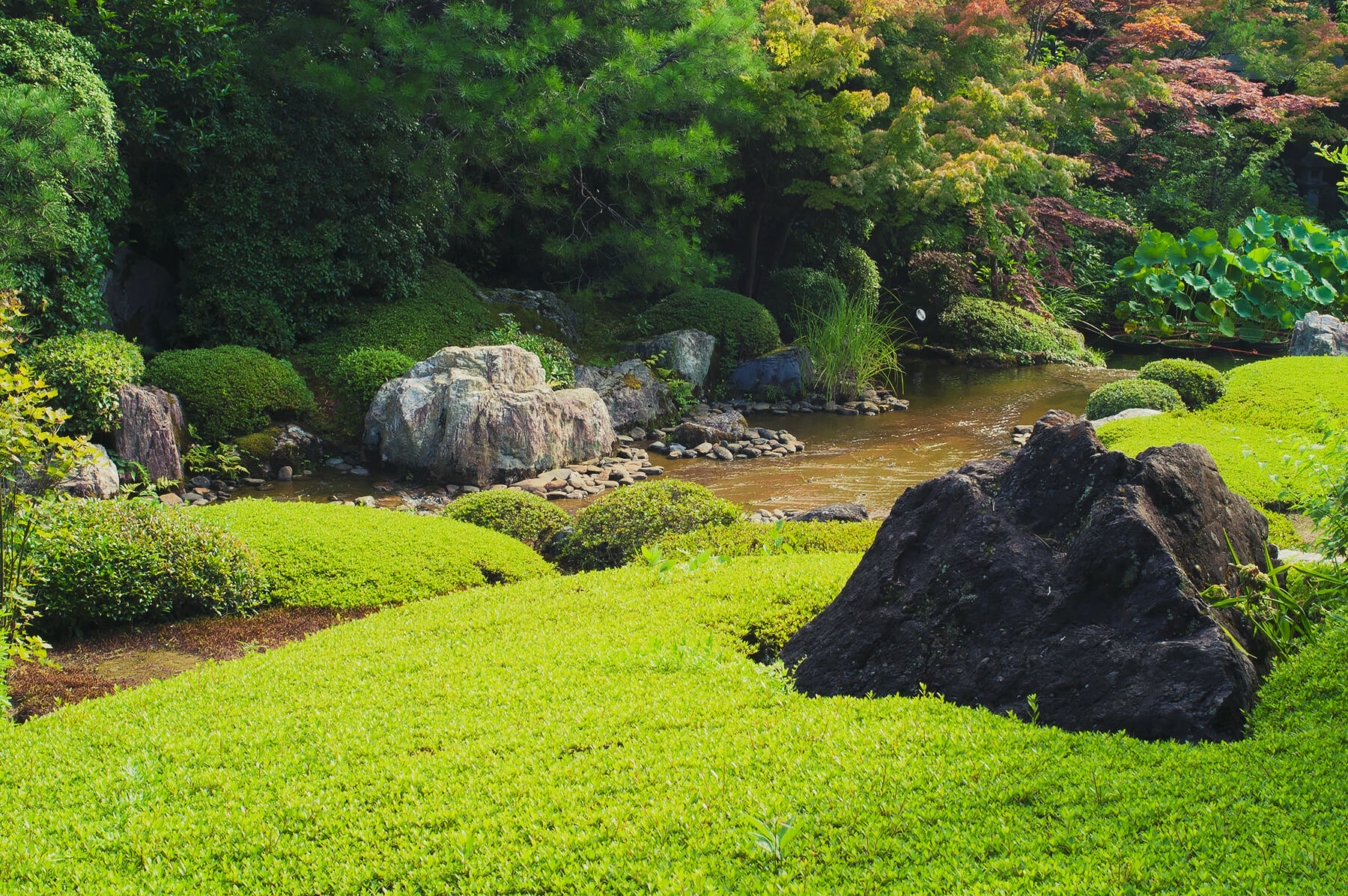 
          Garden photo of the Taizo-in (Myoushin-ji) 3
      