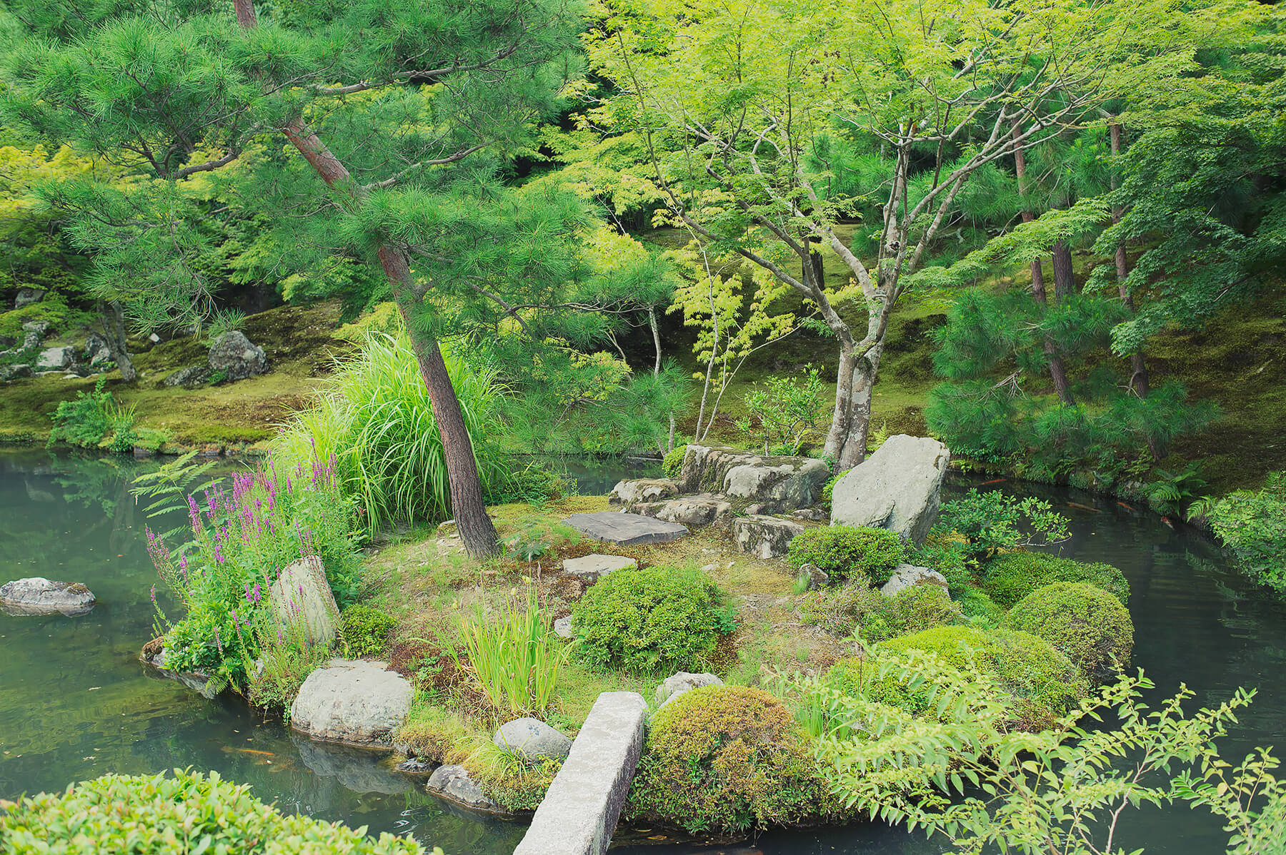 
          京都「天龍寺」の庭園写真2
      