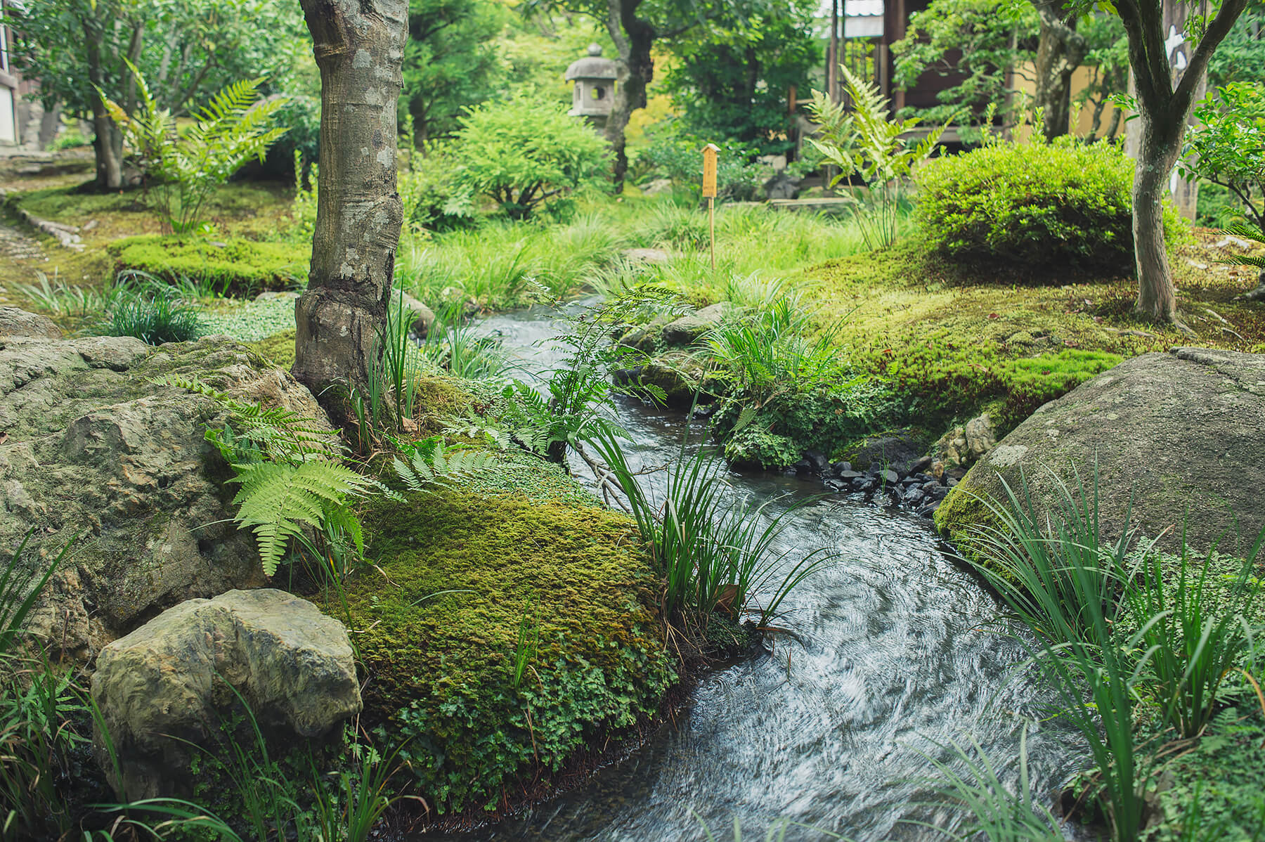 
          Garden photo of the Tenryu-ji 8
      
