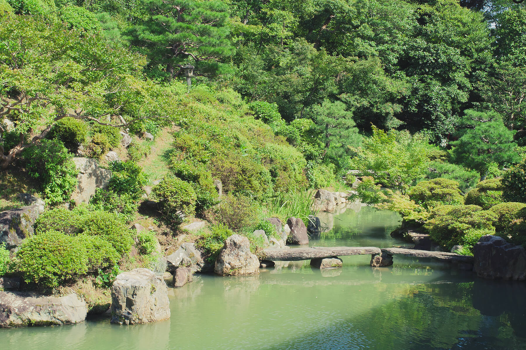 
          京都「智積院」の庭園写真2
      