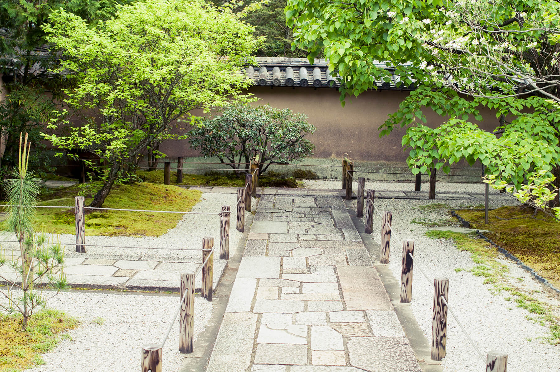 
          京都「大徳寺大仙院」の庭園写真1
      