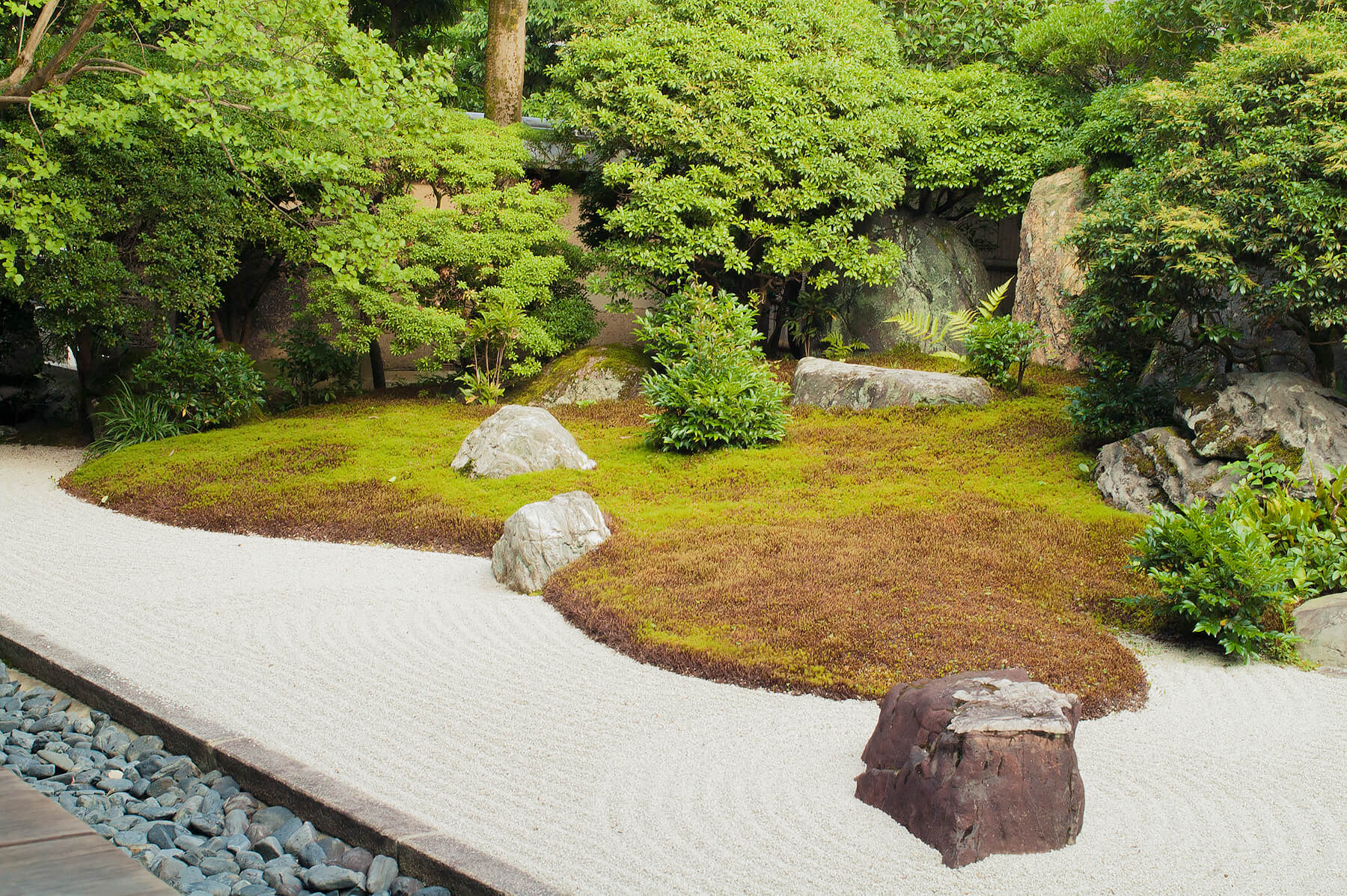 
          Garden photo of the Daishin-in (Myoushin-ji) 1
      