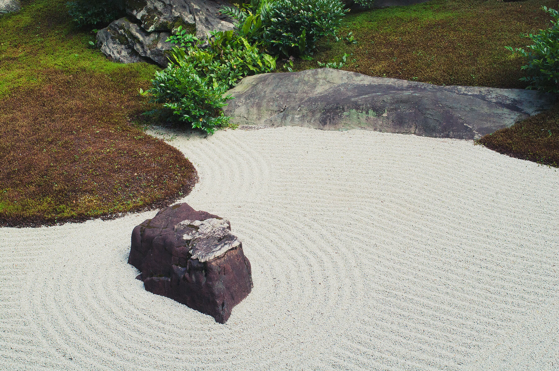 
          Garden photo of the Daishin-in (Myoushin-ji) 2
      