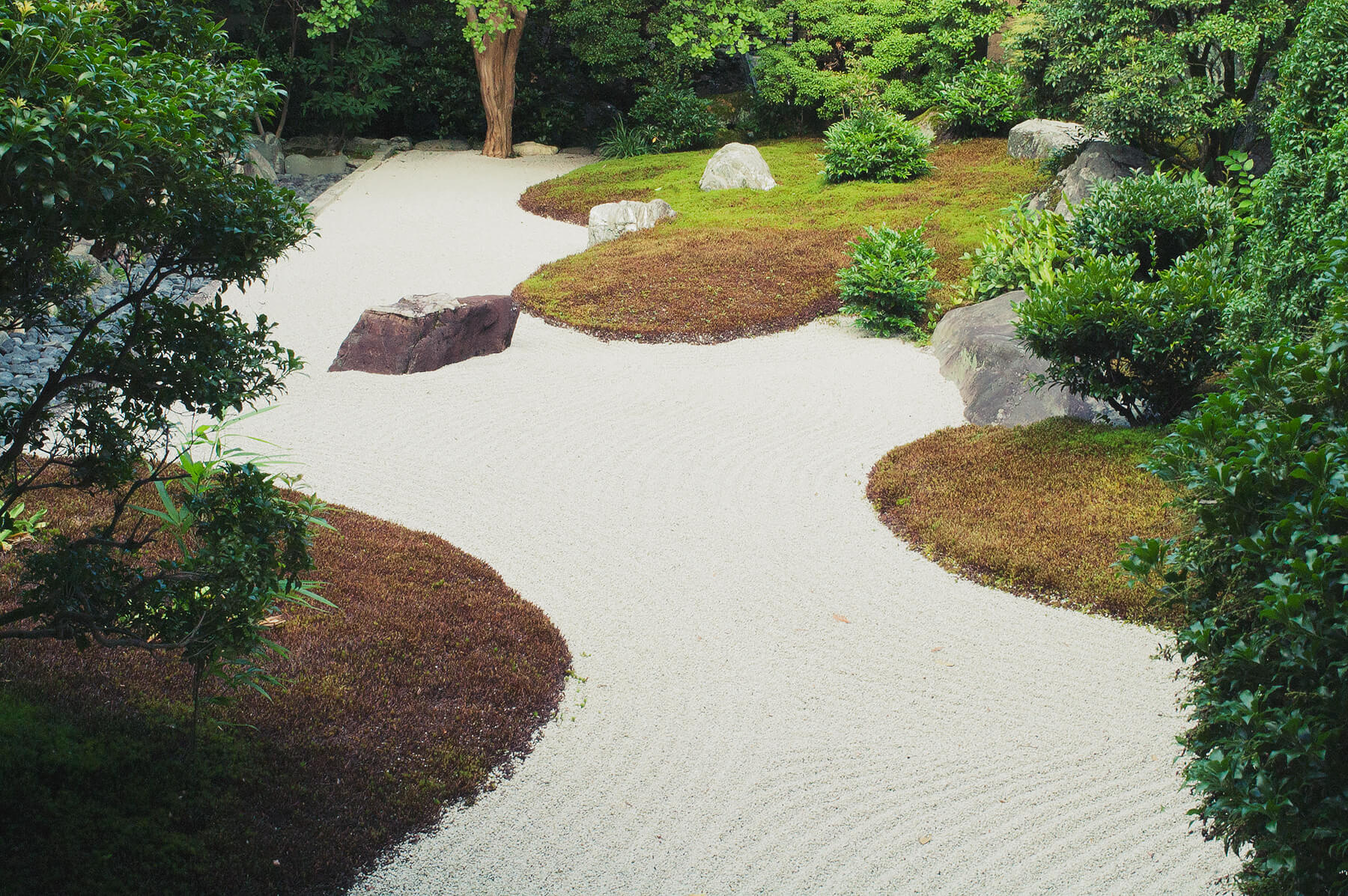 
          Garden photo of the Daishin-in (Myoushin-ji) 3
      