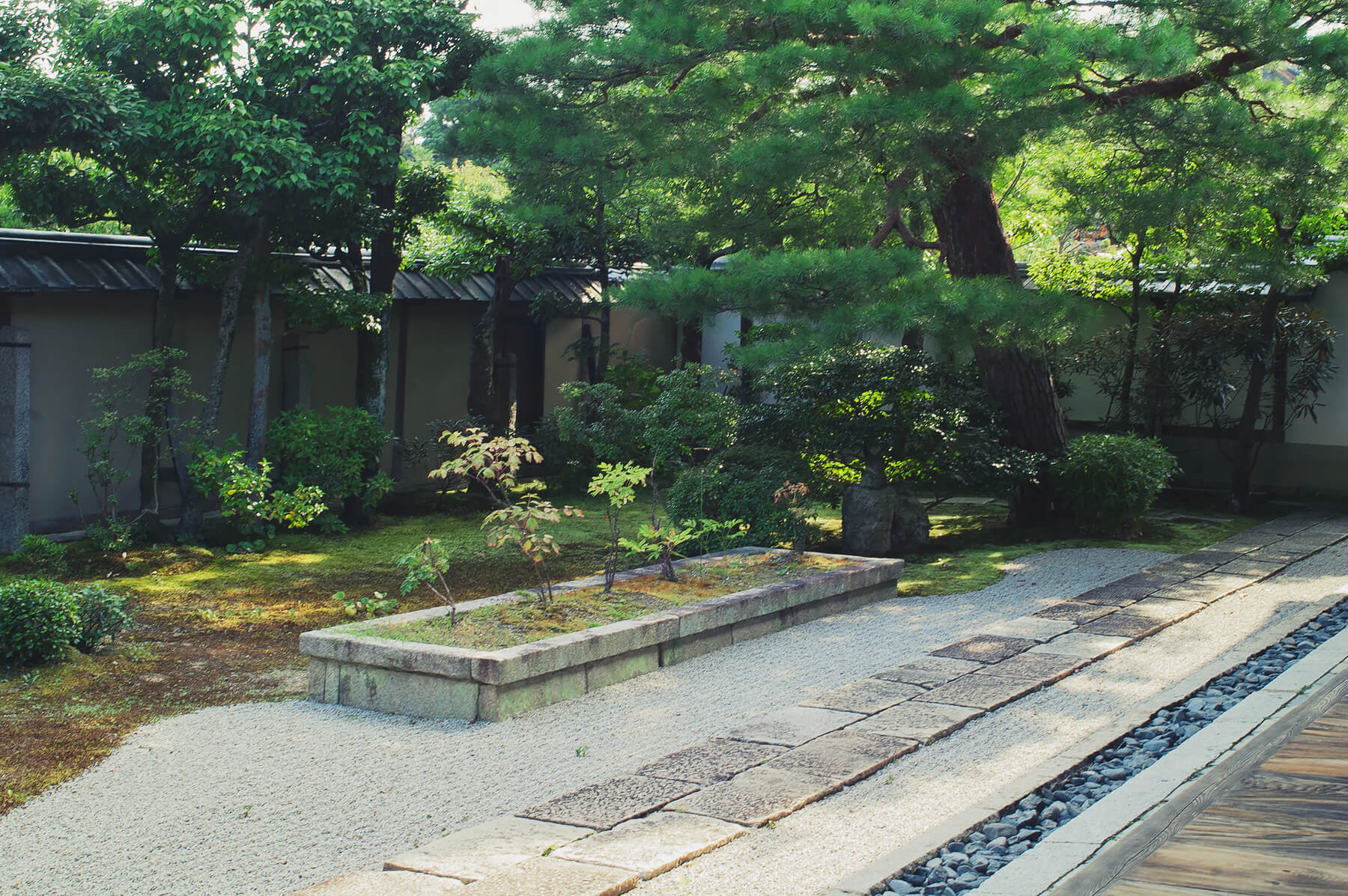 
          Garden photo of the Daishin-in (Myoushin-ji) 4
      