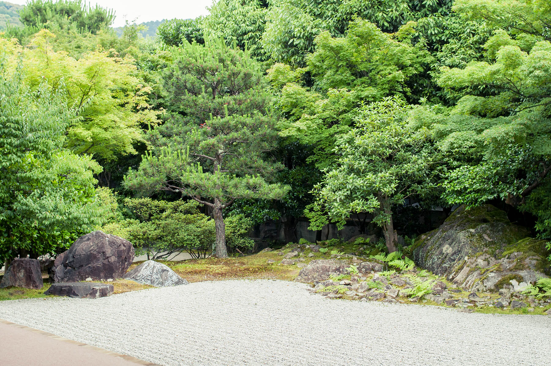 
          京都「高台寺圓徳院」の庭園写真2
      