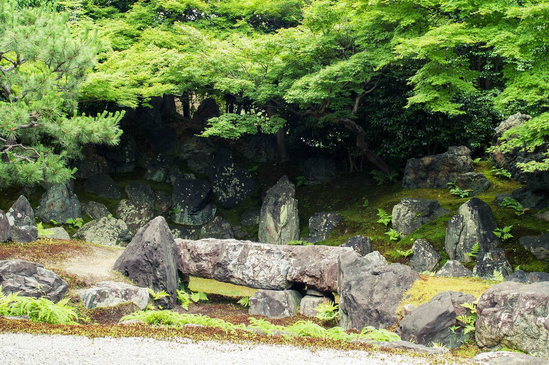 
          京都「高台寺圓徳院」の庭園写真1
      