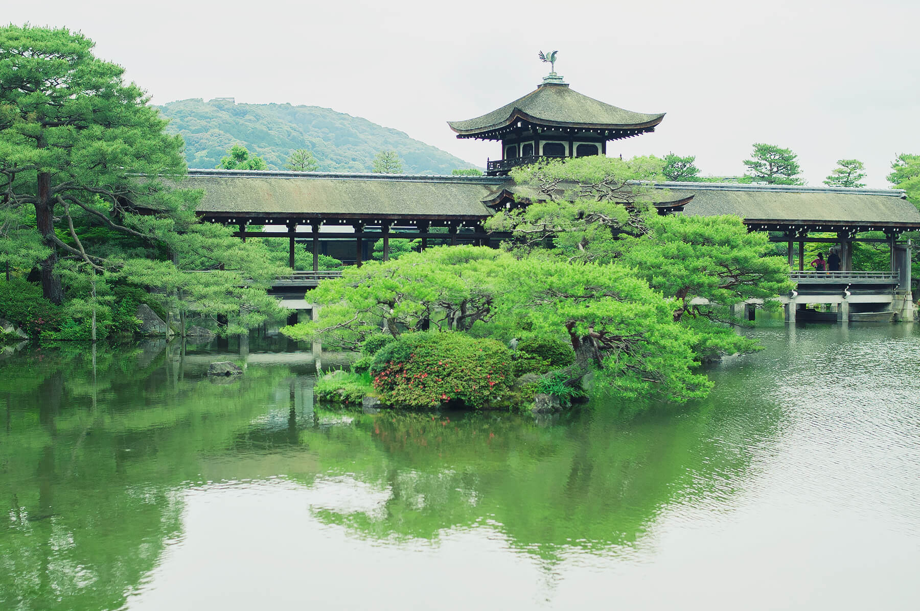 
          京都「平安神宮」の庭園写真2
      