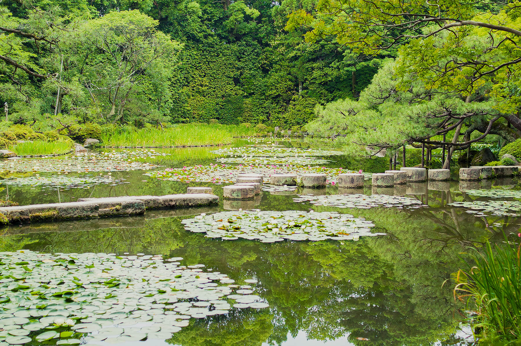 
          京都「平安神宮」の庭園写真1
      