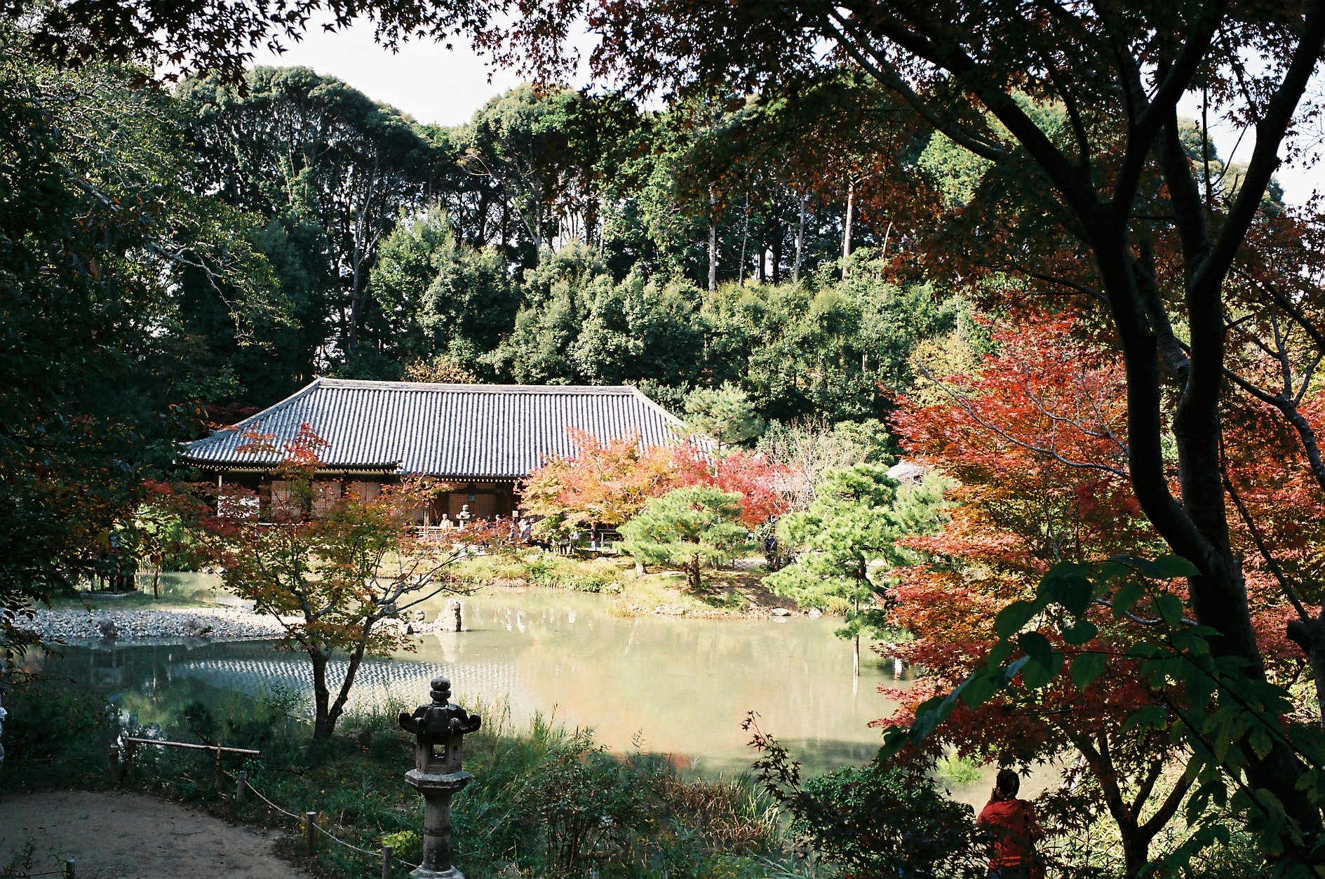 
          京都「浄瑠璃寺」の庭園写真1
      
