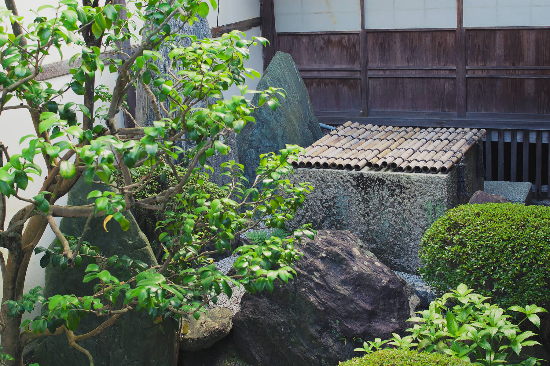 
          京都「妙心寺桂春院」の庭園写真2
      