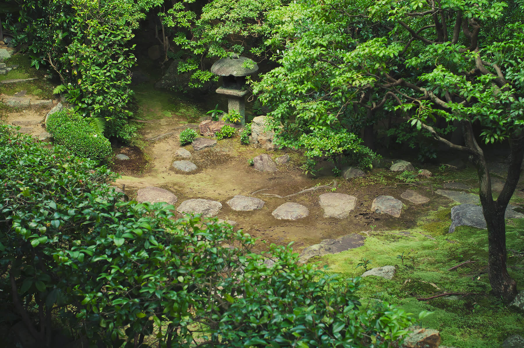 
          京都「妙心寺桂春院」の庭園写真3
      
