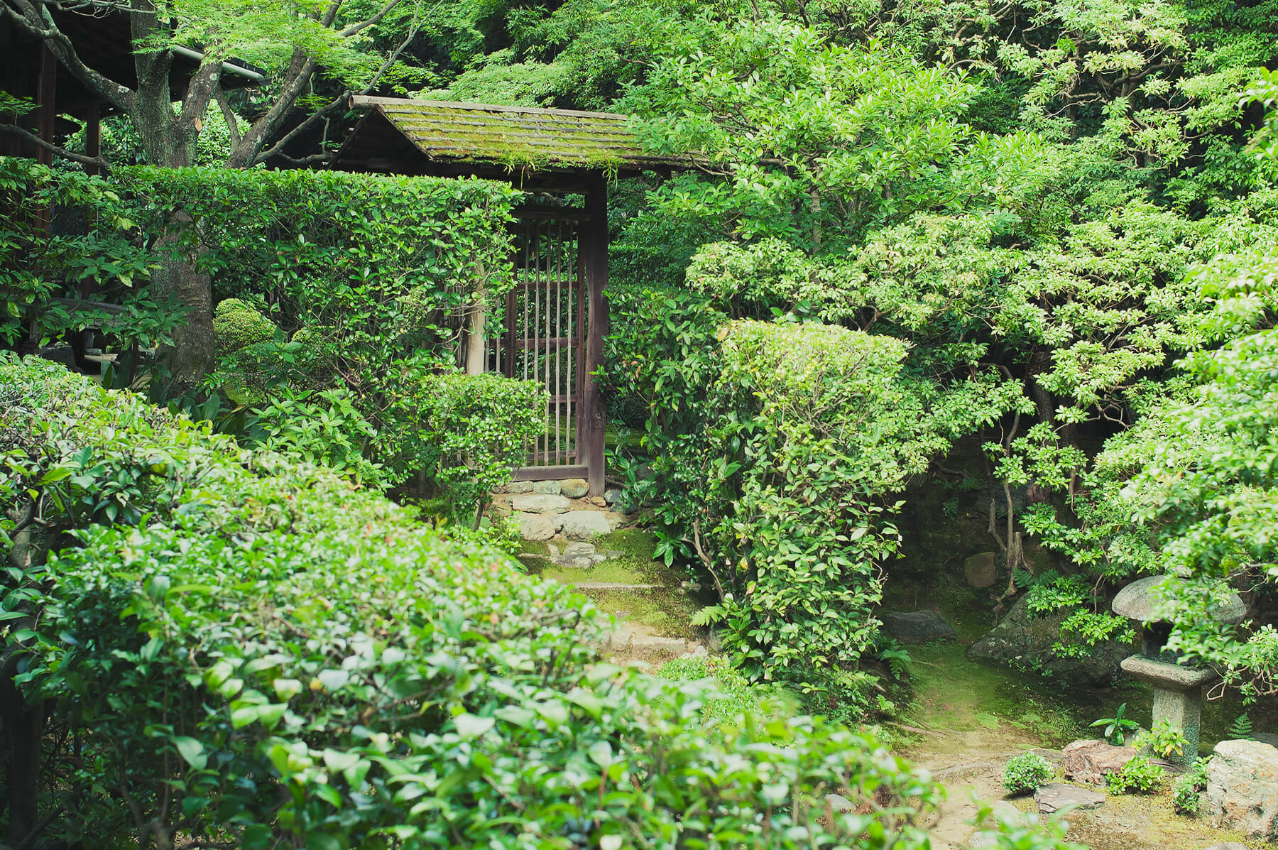 
          京都「妙心寺桂春院」の庭園写真5
      