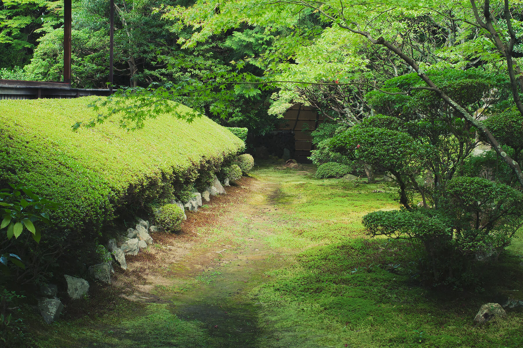 
          京都「妙心寺桂春院」の庭園写真6
      