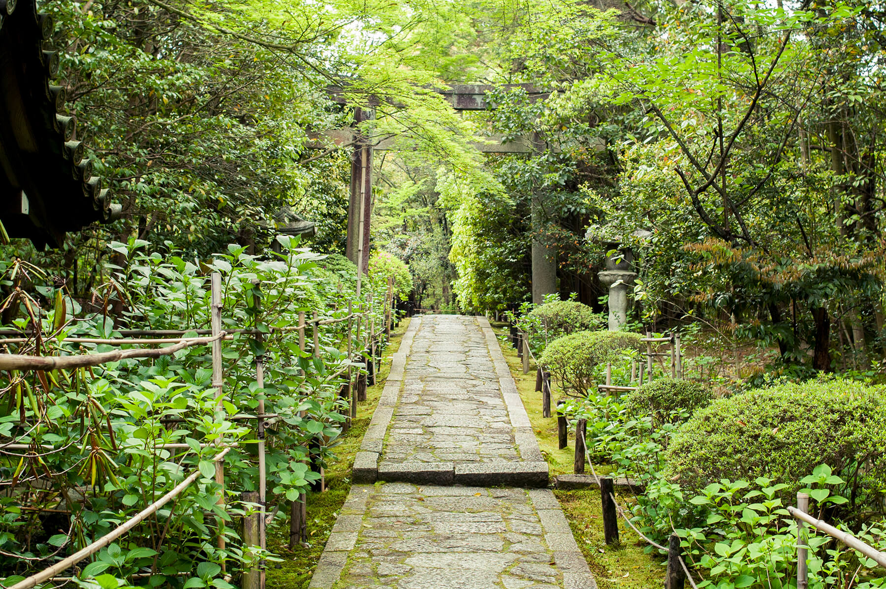 
          京都「南禅寺金地院」の庭園写真2
      