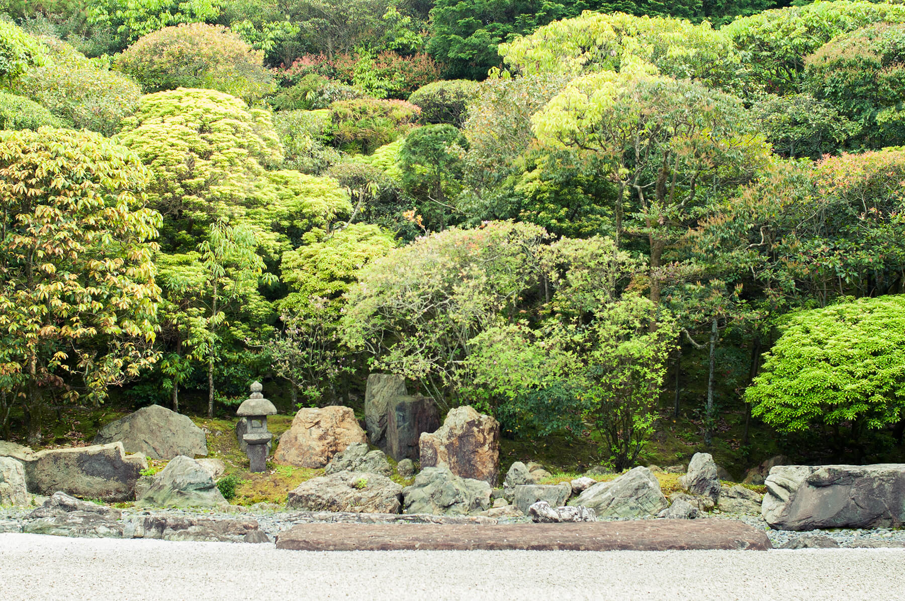 
          京都「南禅寺金地院」の庭園写真1
      