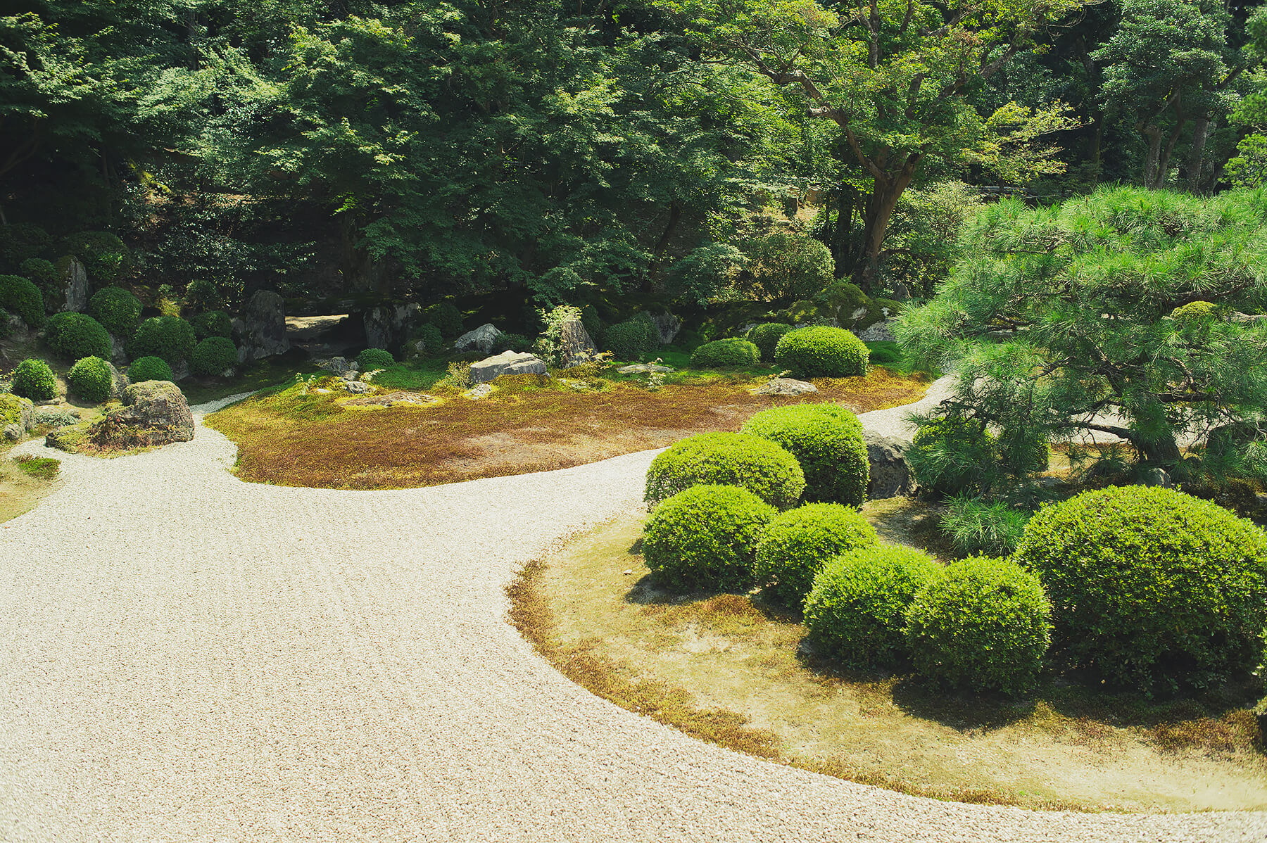
          京都「曼殊院門跡」の庭園写真5
      