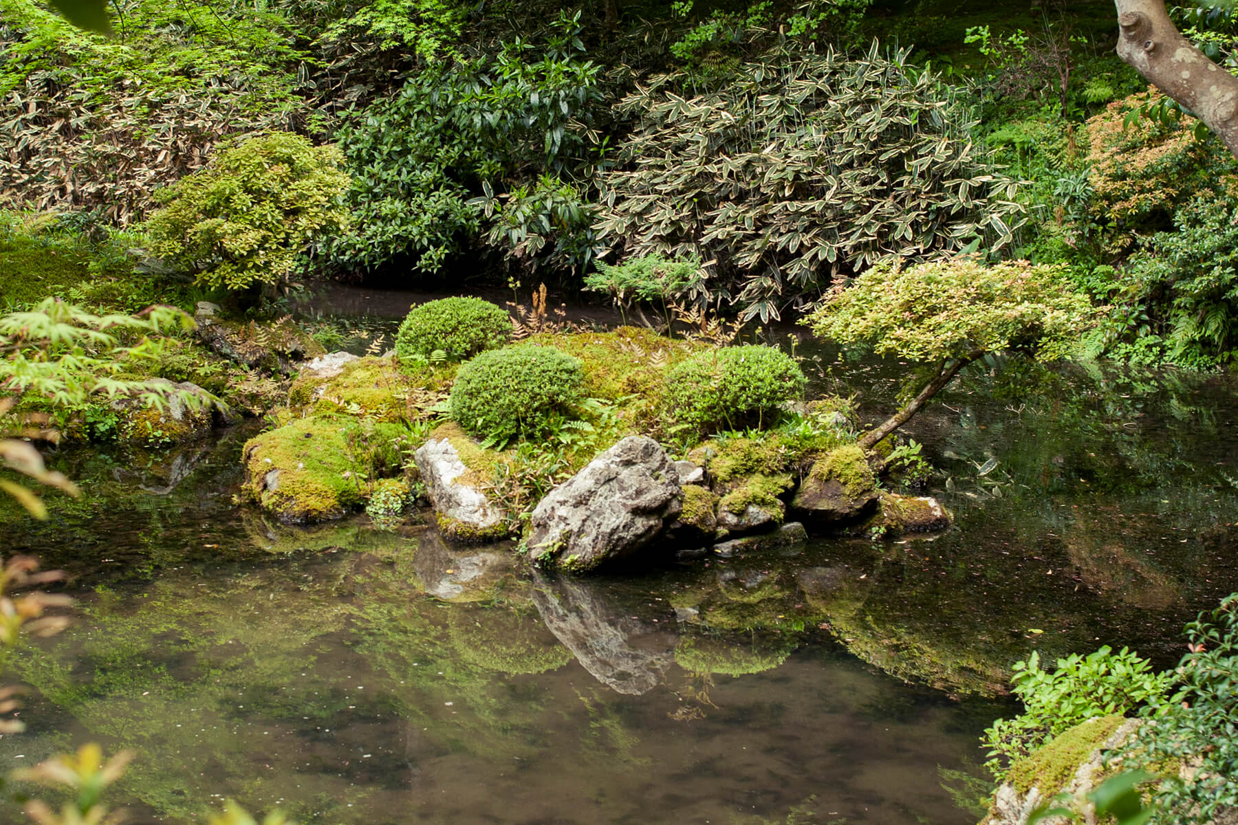 
          京都「南禅寺南禅院」の庭園写真2
      