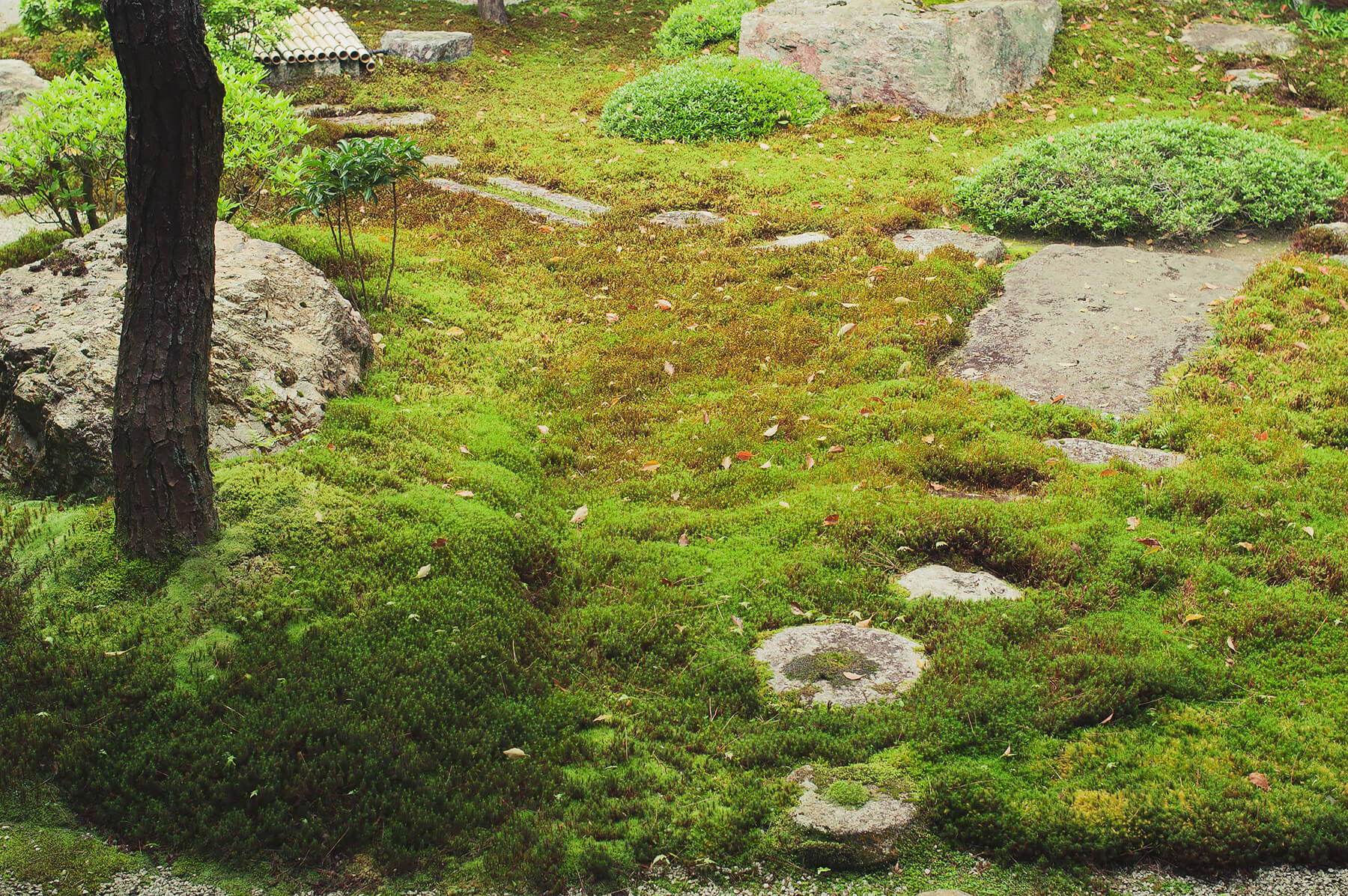 
          Garden photo of the Nanzen-ji 8
      