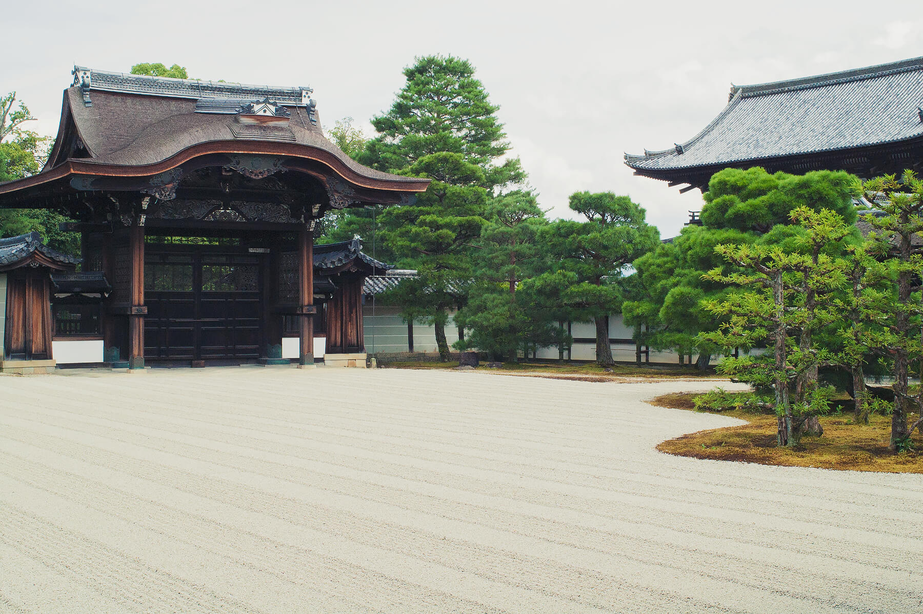 
          京都「仁和寺」の庭園写真2
      