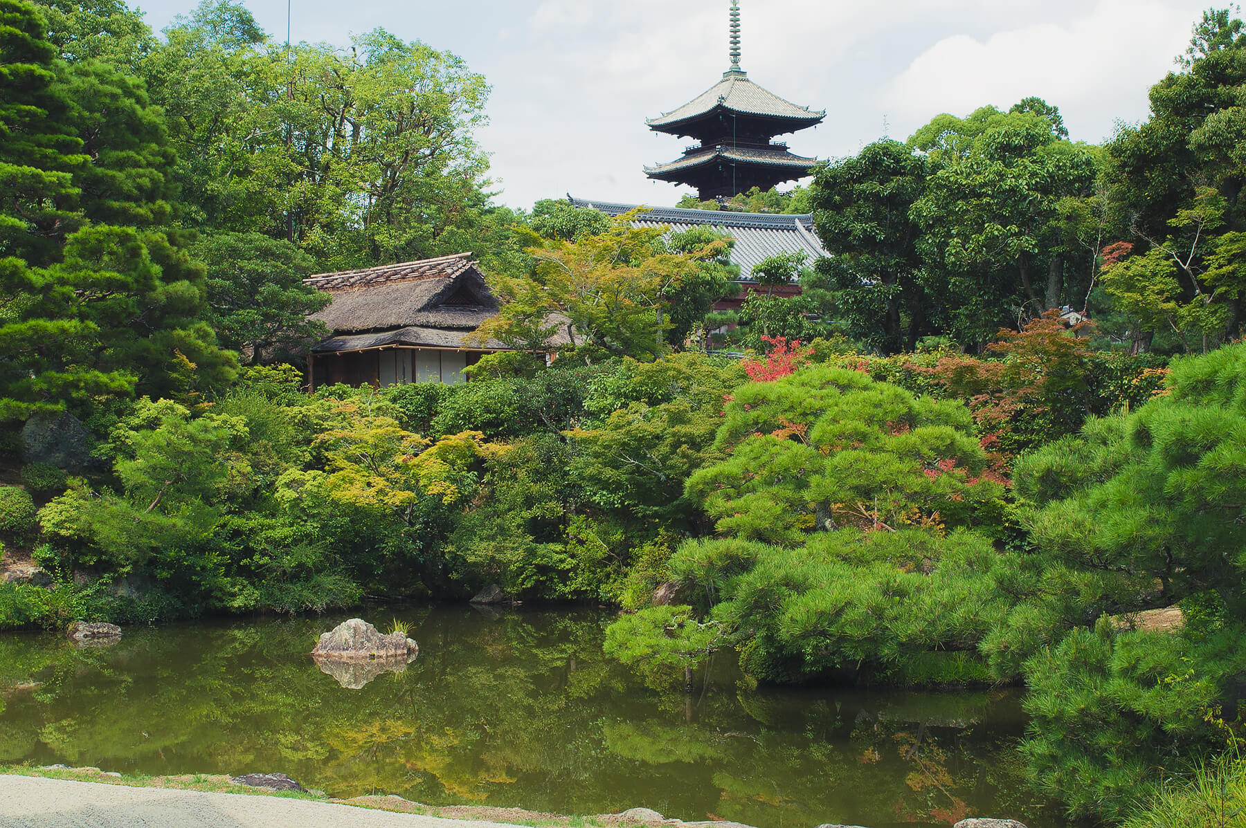 
          京都「仁和寺」の庭園写真3
      