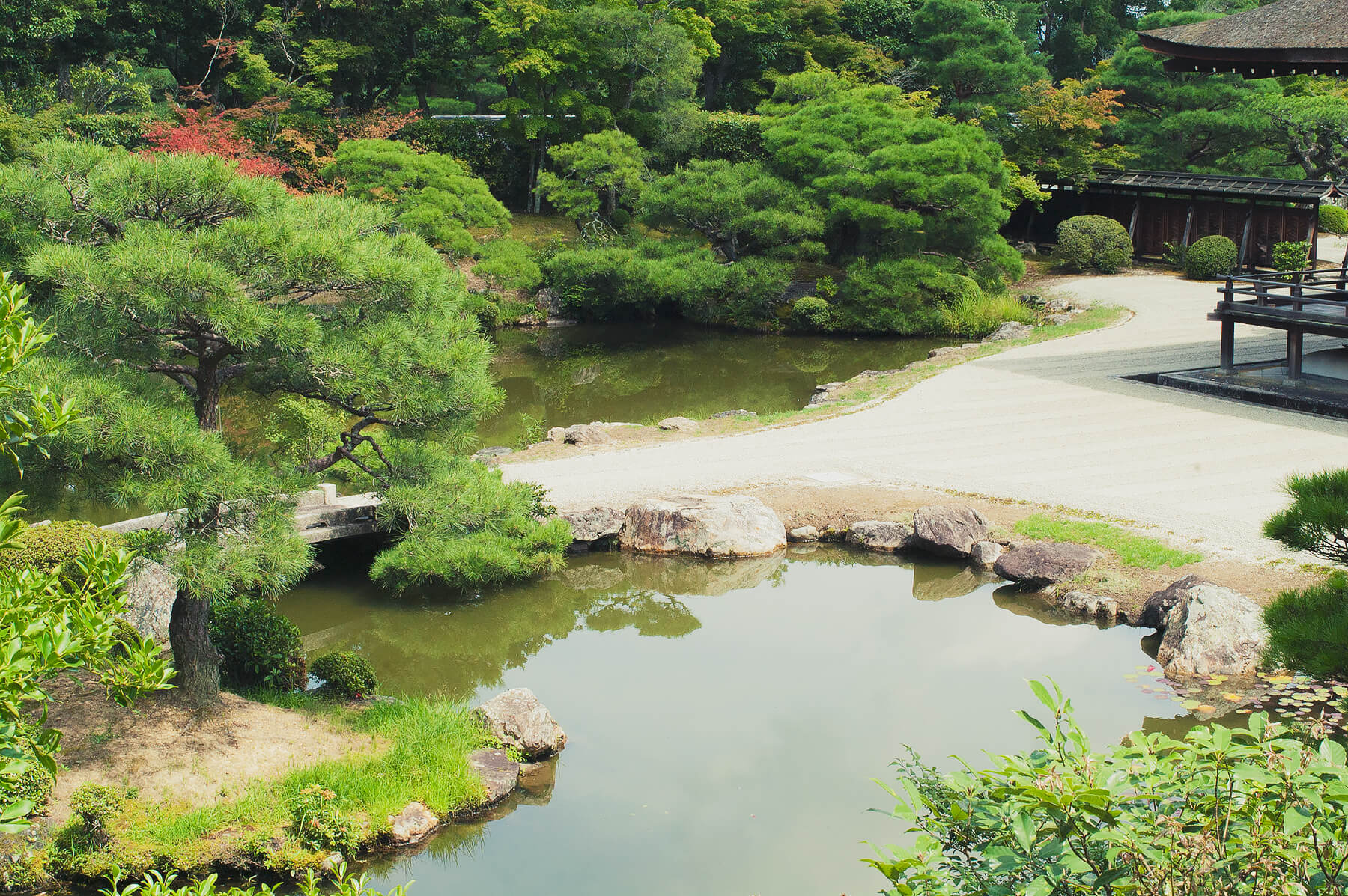 
          京都「仁和寺」の庭園写真4
      