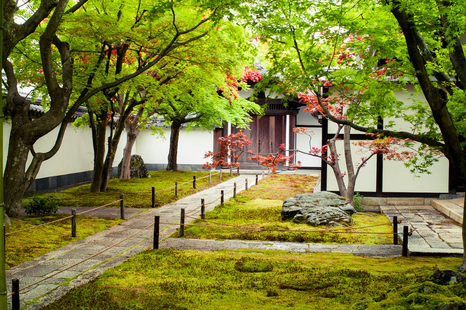 
          京都「大徳寺黄梅院」の庭園写真1
      