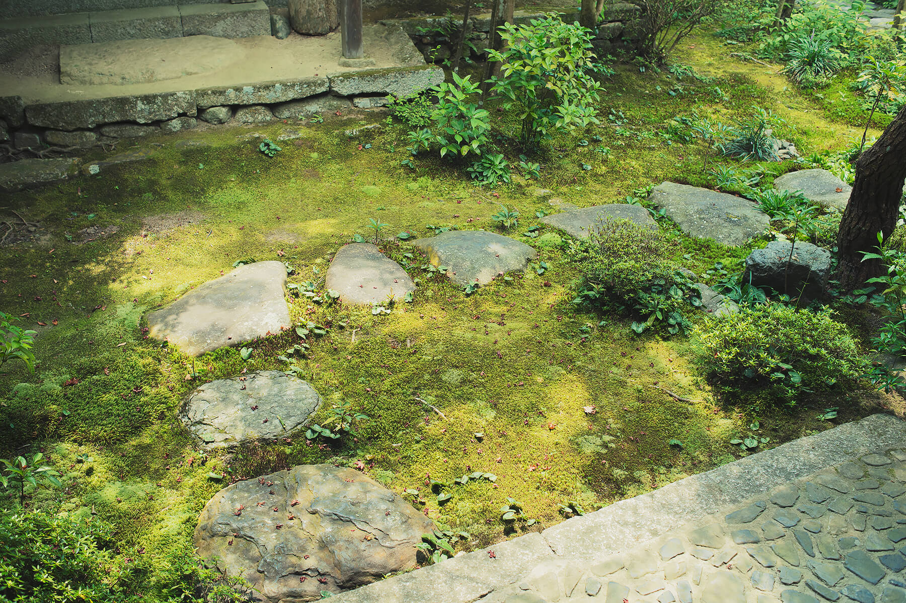 
          Garden photo of the Renge-ji 3
      