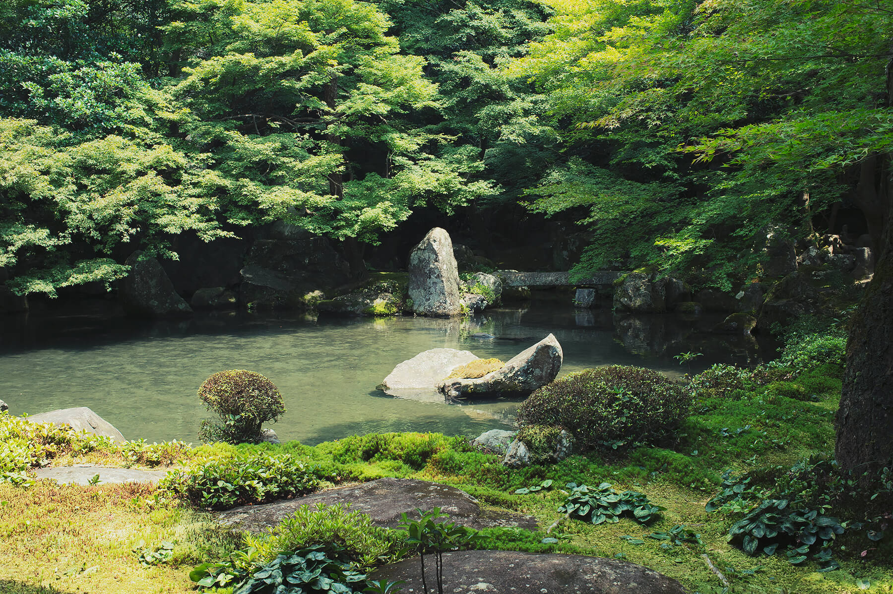 
          京都「蓮華寺」の庭園写真1
      