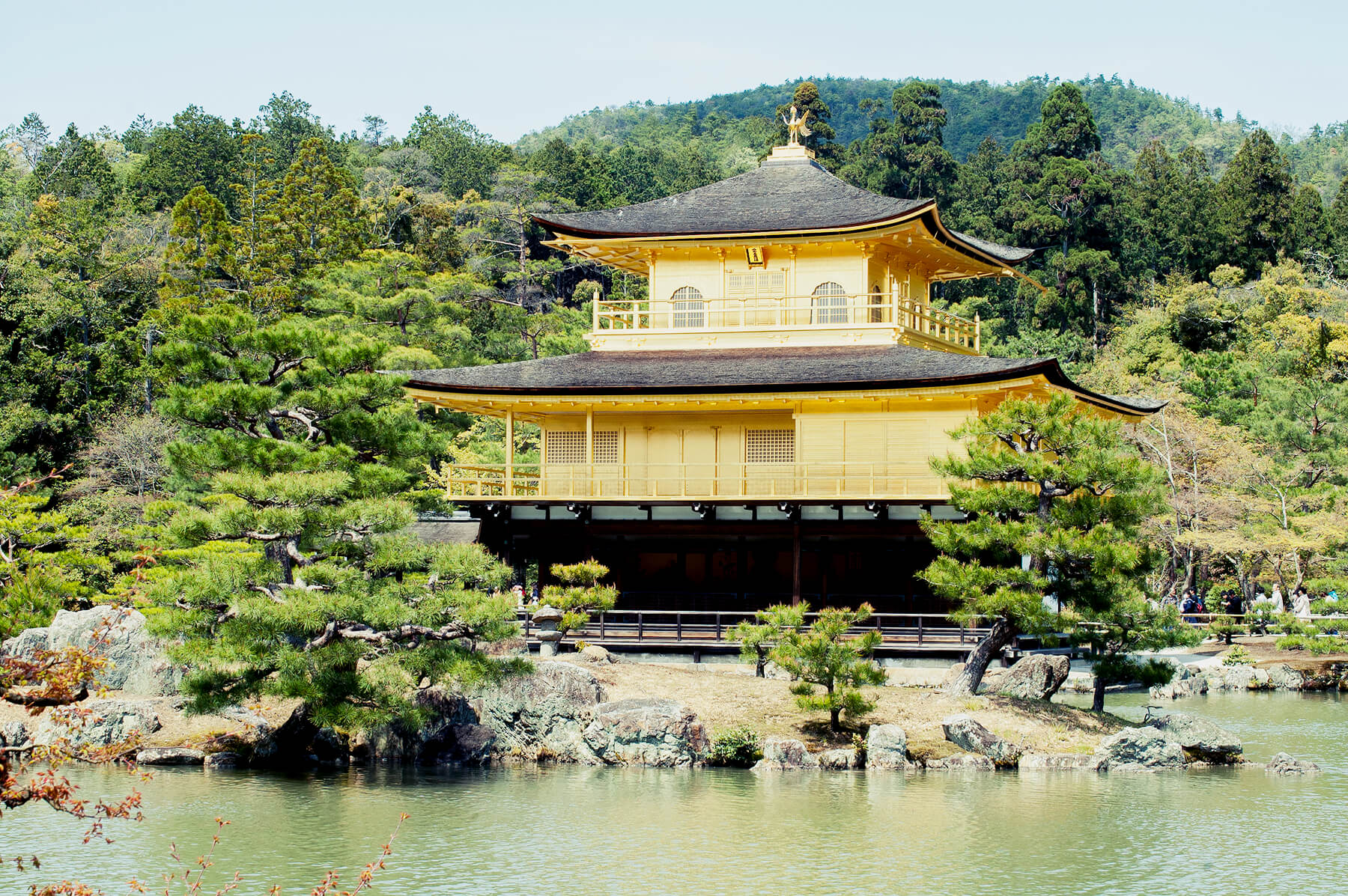 
          京都「鹿園寺（金閣寺）」の庭園写真1
      