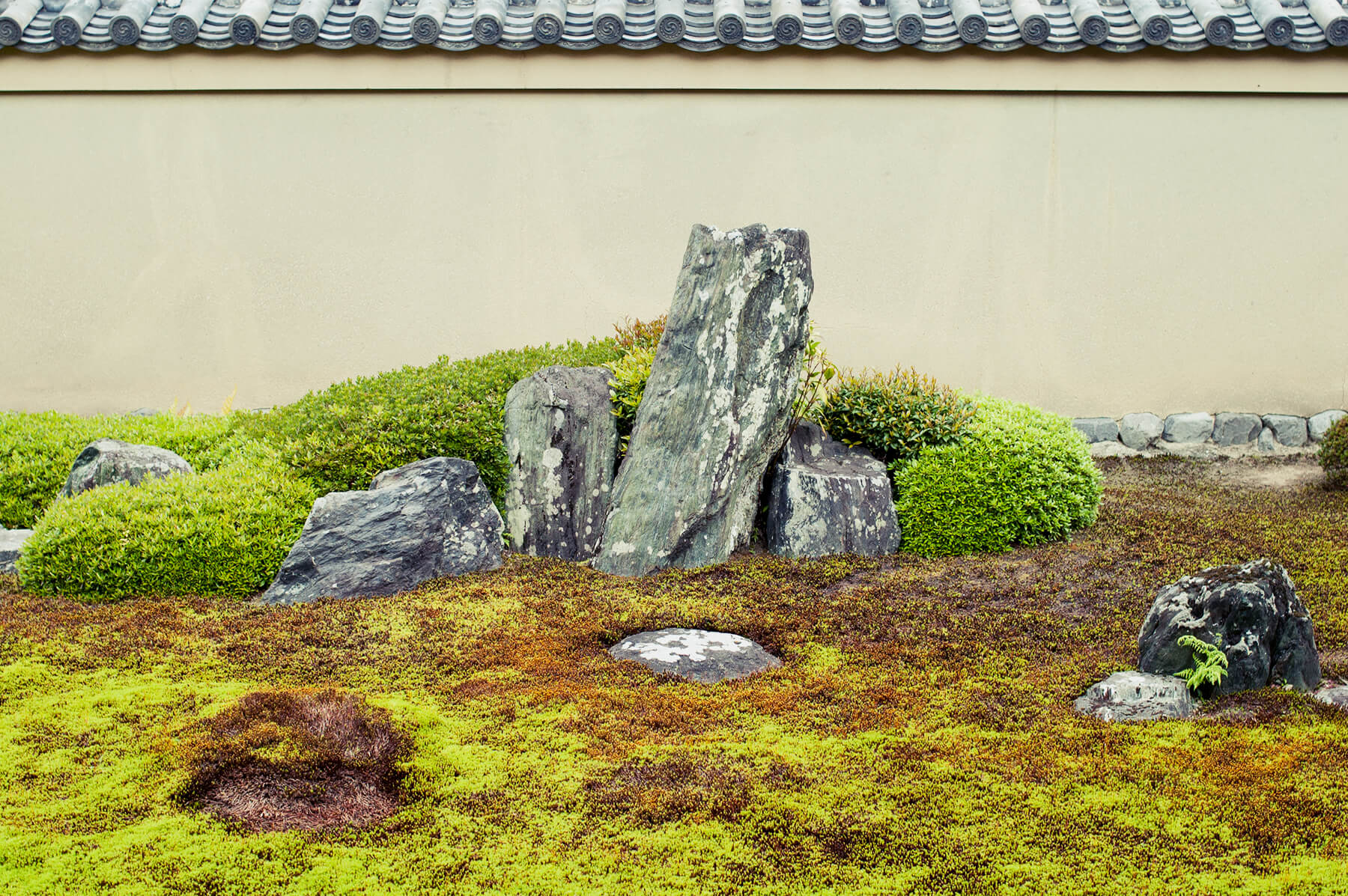 
          京都「大徳寺龍源院」の庭園写真2
      