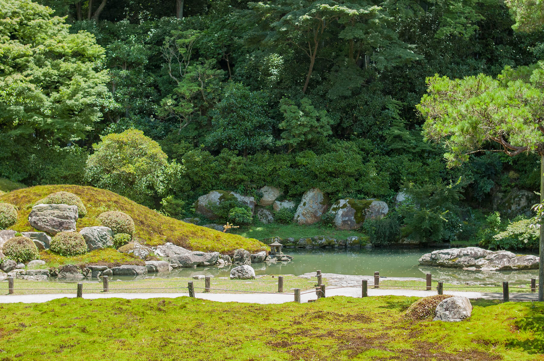 
          京都「青蓮院門跡」の庭園写真1
      