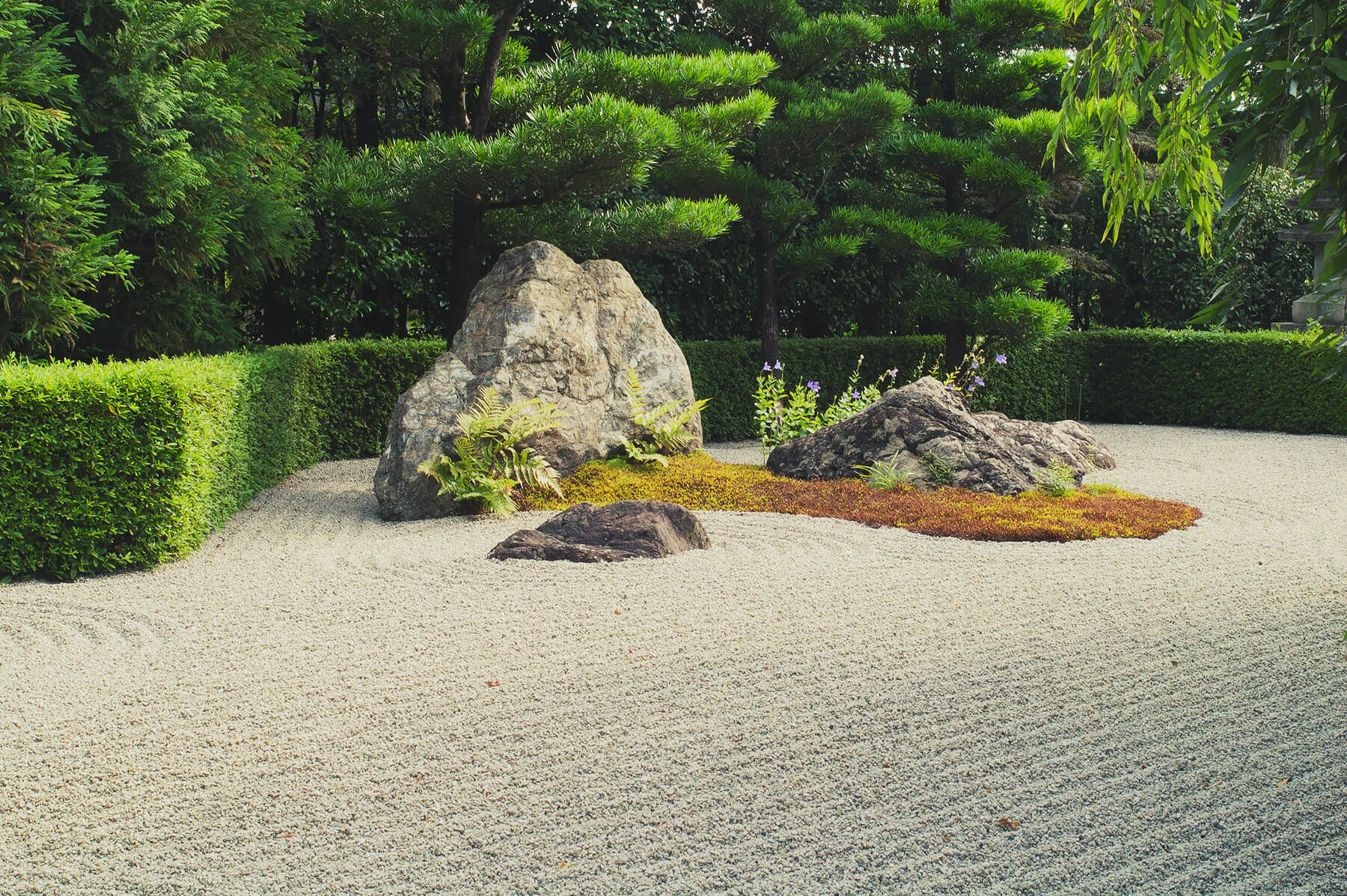 
          Garden photo of the Taizo-in (Myoushin-ji) 4
      