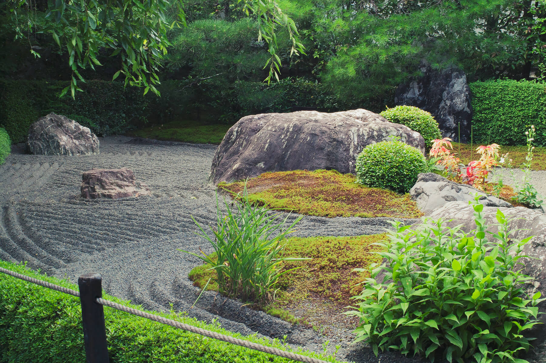 
          Garden photo of the Taizo-in (Myoushin-ji) 5
      