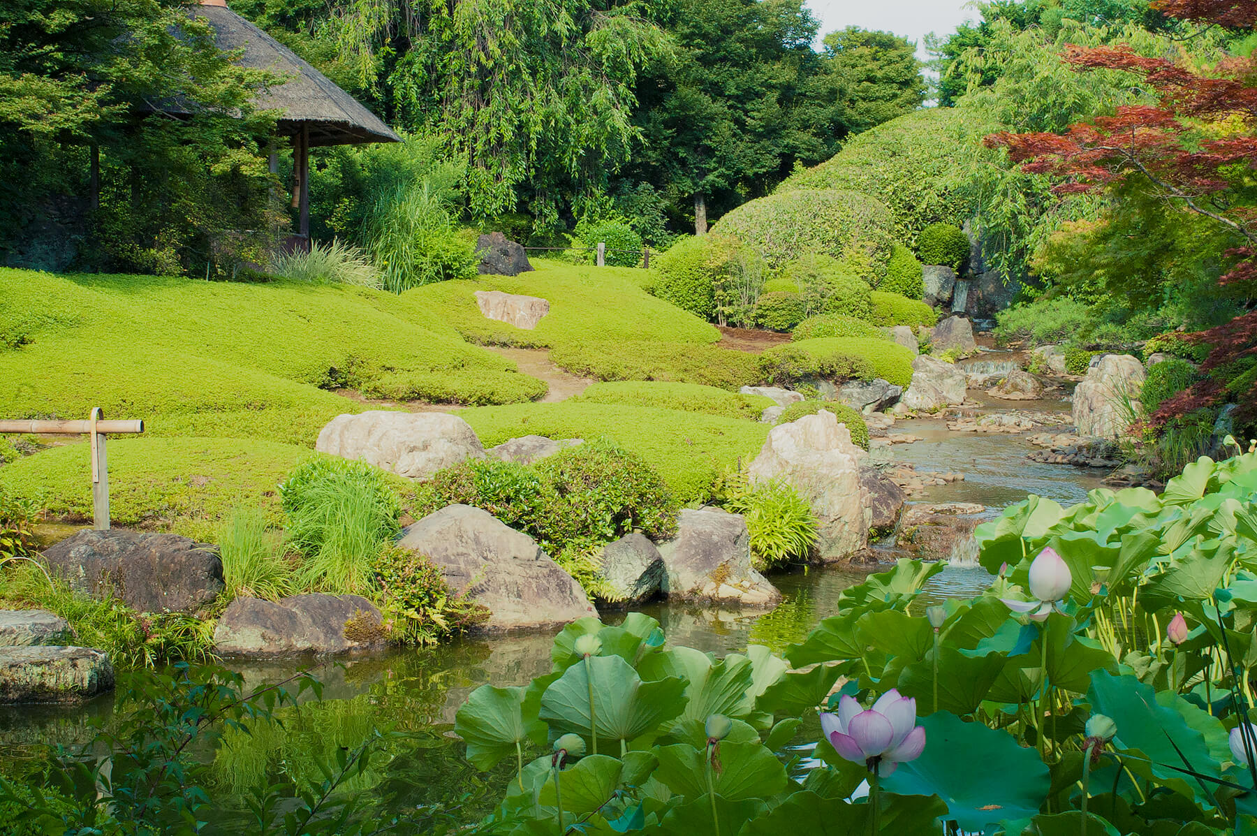 
          京都「妙心寺退蔵院」の庭園写真1
      