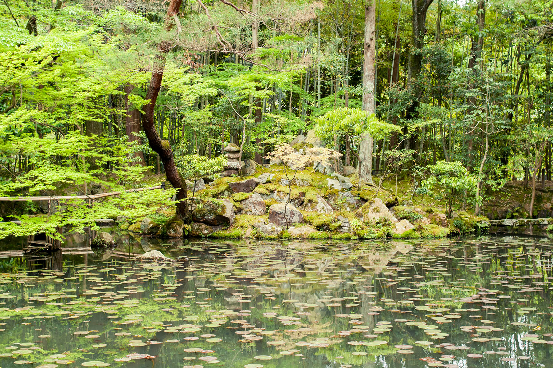 
          京都「南禅寺天授庵」の庭園写真1
      